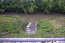 Skunk Run Outfall