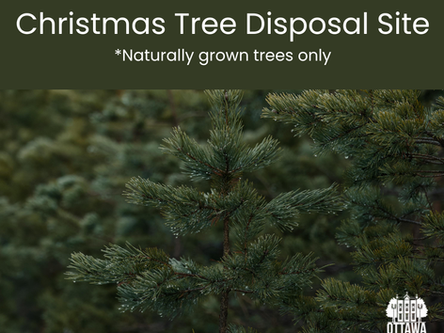 OTTAWA NATURAL CHRISTMAS TREE DISPOSAL SITE FOR 2025/2026