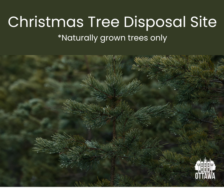 OTTAWA NATURAL CHRISTMAS TREE DISPOSAL SITE FOR 2025/2026