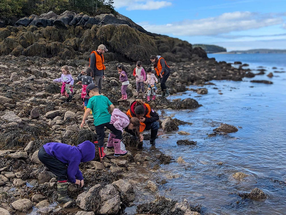 A group of children and adults exploring a rocky shoreline at low tide. The children are dressed in colorful outdoor clothing and rain boots, searching through rocks and seaweed. The adults, wearing orange safety vests, are supervising the activity. The background features calm water, rocky terrain, and a blue sky with scattered clouds.