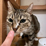 IMG_6156 2_edited.jpg