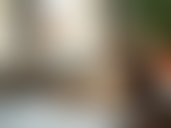 Finding the Best Cat Sitting Services