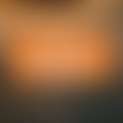 Understanding soil quality