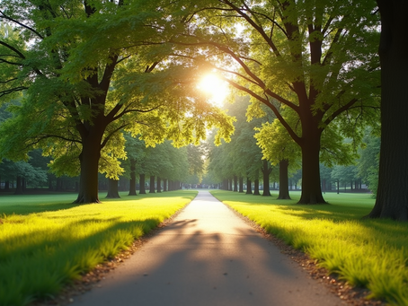 Elevate Your Lifestyle: Coaching for Busy Adults