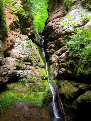 EDDY - Mitchell Glen waterfalls026 low res.jpeg