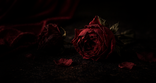 SITE OFICIAL (5).png