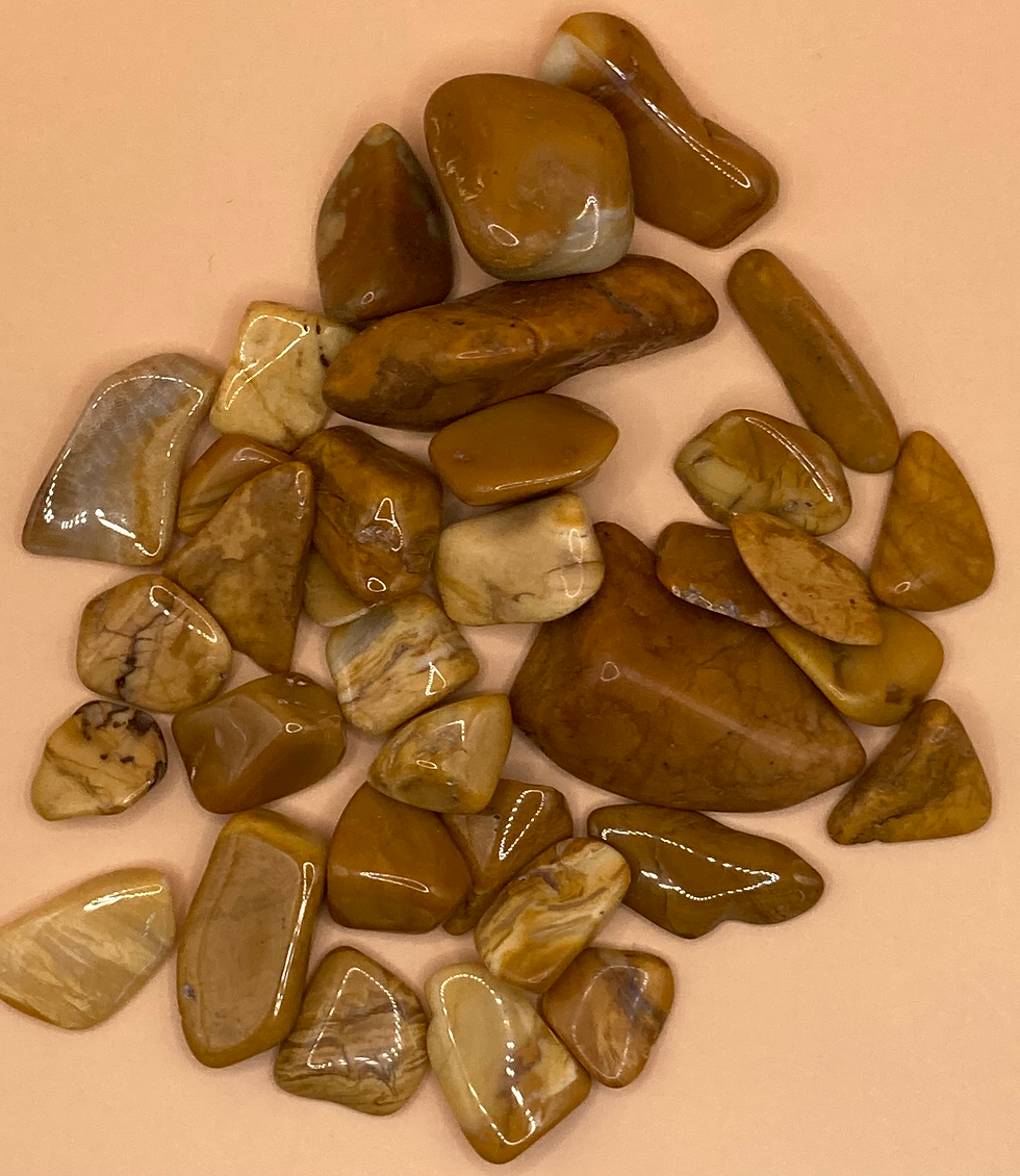 Thumbnail: WALNUT JASPER