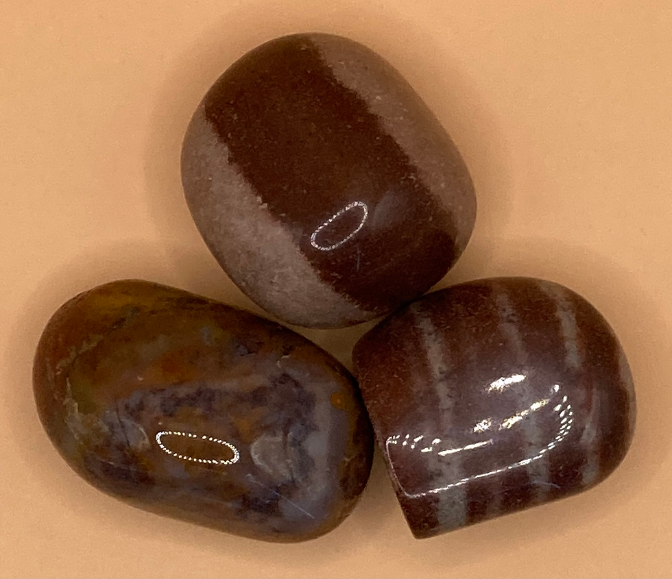 Thumbnail: SEPTARIAN