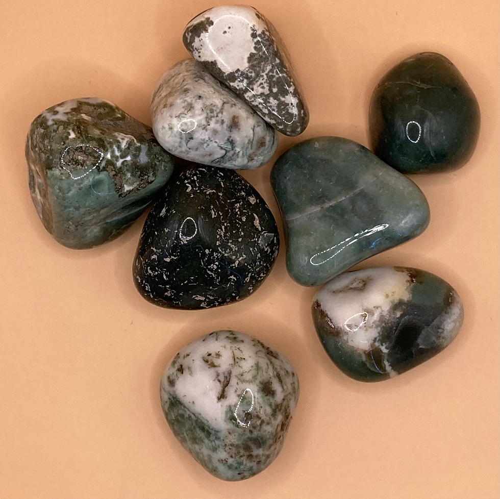 Thumbnail: SEA JASPER