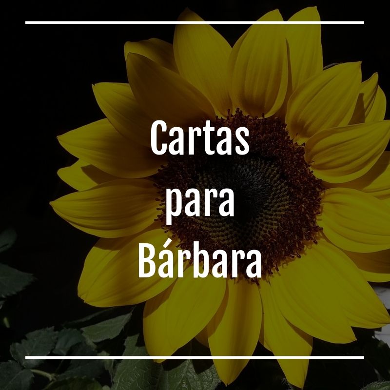 Foto do escritor: Cartas para Bárbara