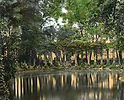 Captura28_PNG.webp