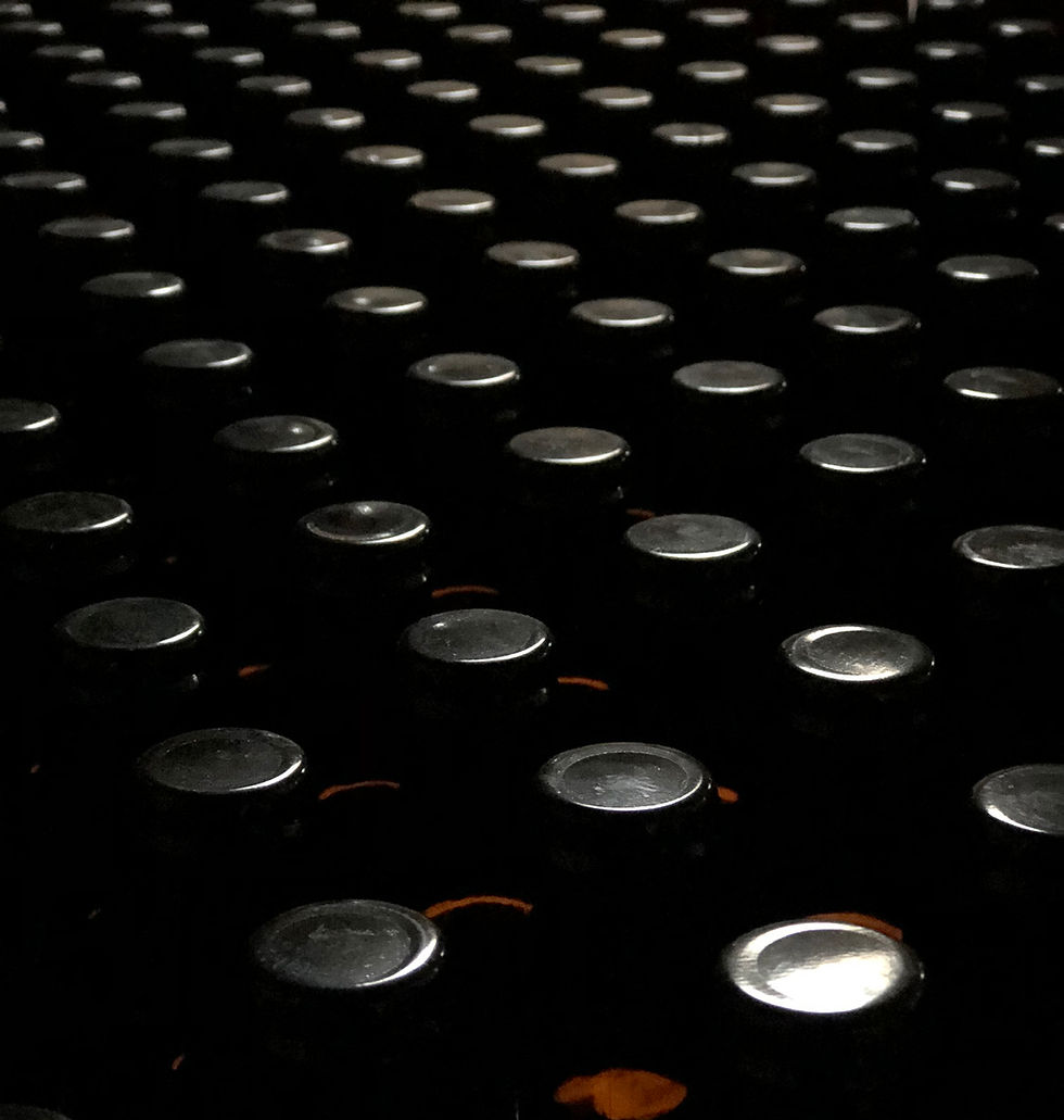 BOTELLAS2.jpg