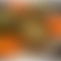 Flavorful Fish Tacos