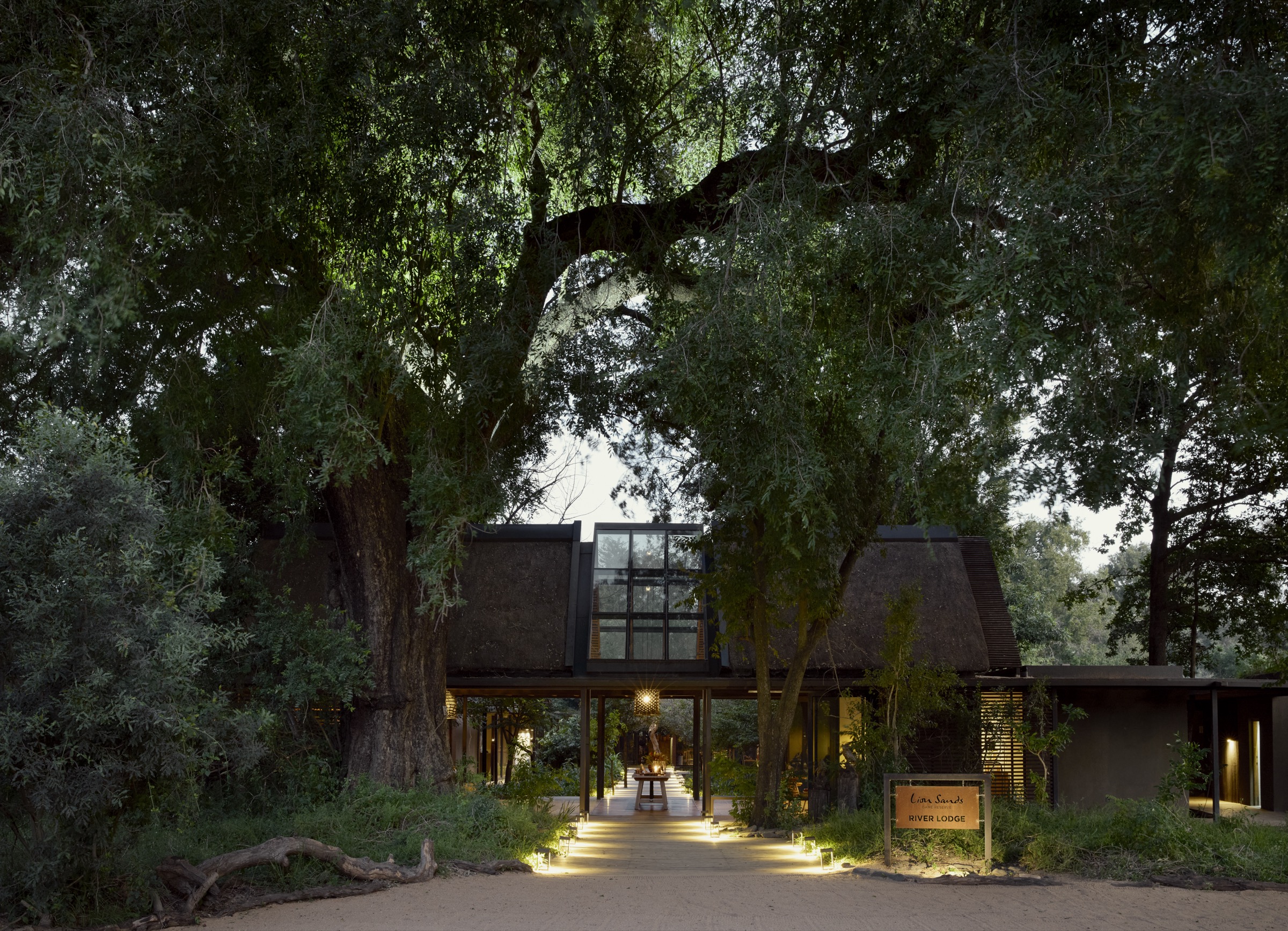 Tree-lined arrival entrance to Lion Sands River Lodge