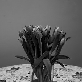 Achiro Sabrina04 copy.jpg