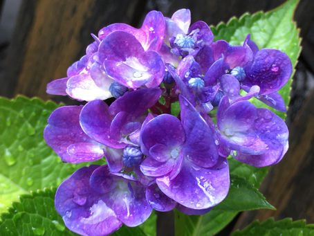 深い呼吸していますか?