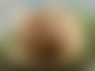 秋へ ゆるめて ととのえて ベースがつくれるピラティスで