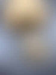 עוגת גבינה עם קרם קפה