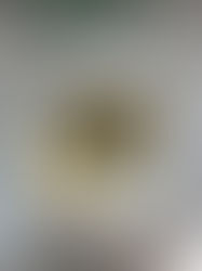 עלי גפן ממולאים