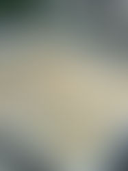 עוגיות חמאה עם טריק