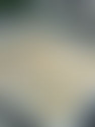 עוגיות חמאה עם טריק