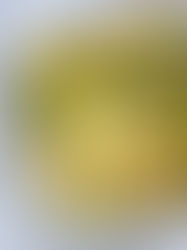 מק אנד צ׳יז ברוקולי