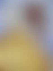 בורקס משפחתי