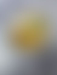 שלוליות גבינה צהובה