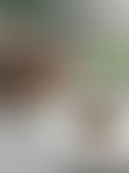 עוגת שיש לחה