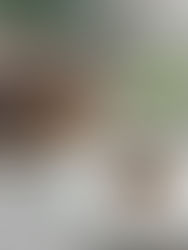 עוגת שיש לחה