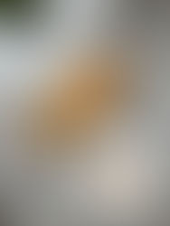 בננה ברד ופירות יער