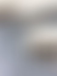 עוגת ביסקוויטים שוקו וניל