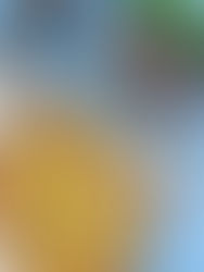 לחם שום ללא גלוטן