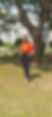 IMG_2122.jpeg