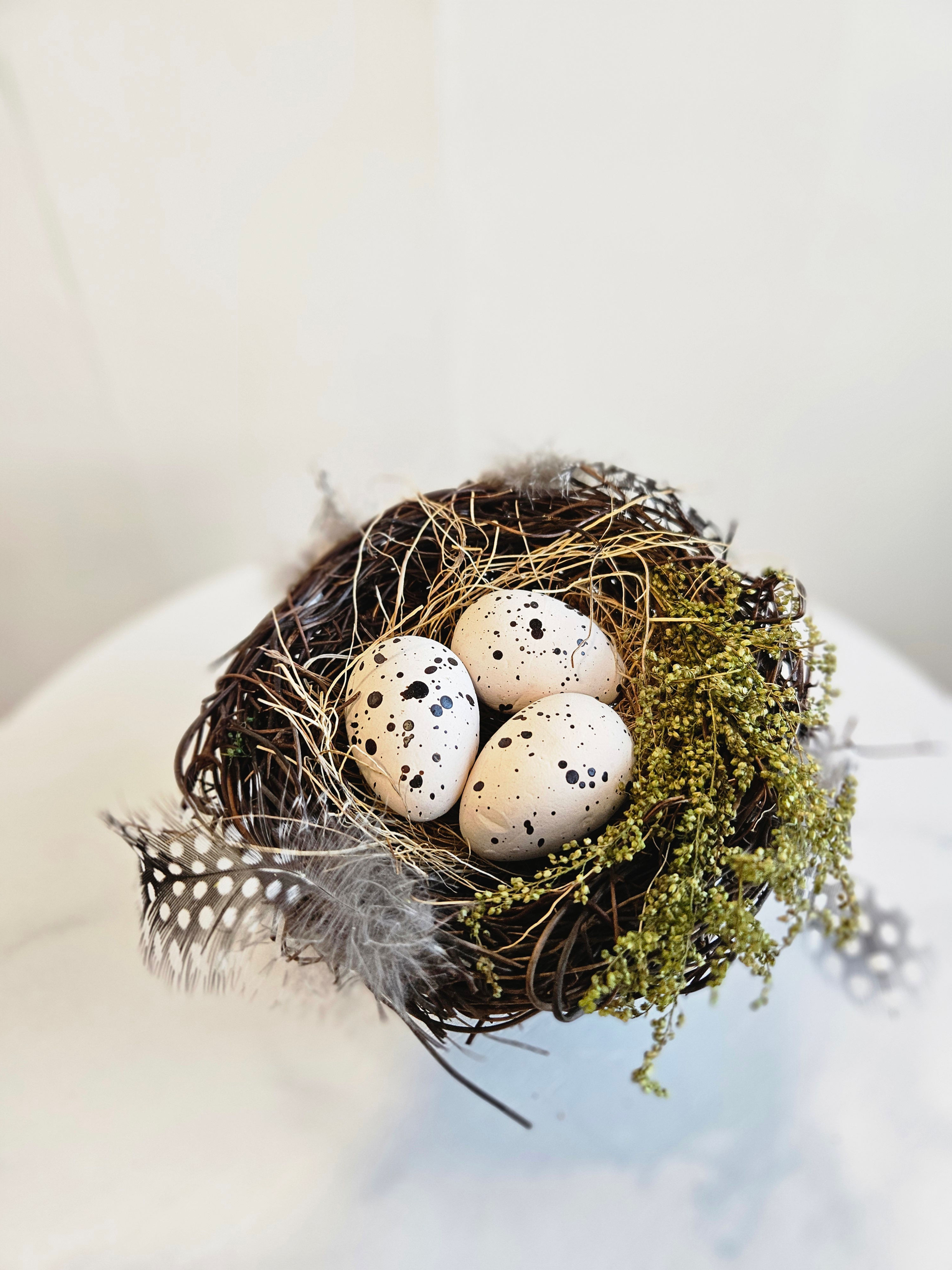 Bird's Nest with Eggs