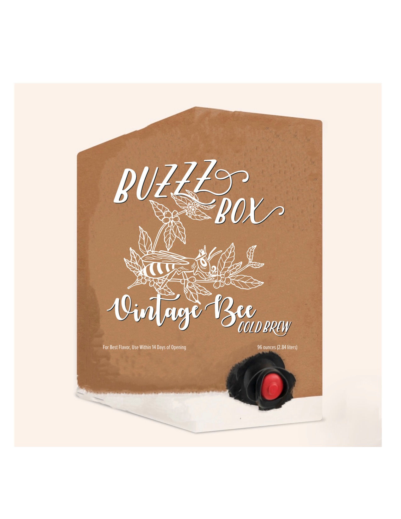 Cold Brew Bag in a Box- Buzzz Box