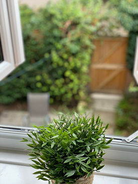 Potted plant on a windowsill overlooking a backyard garden