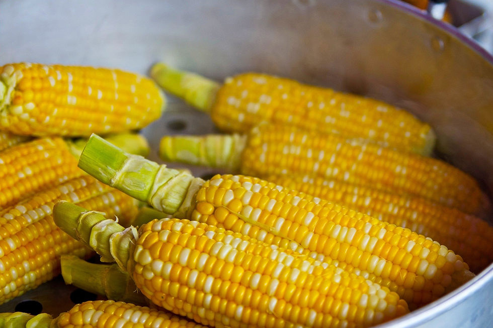 pop-corn-785074_1920