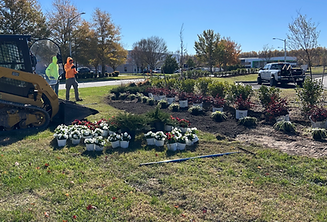 commercial landscaping Virginia Beach