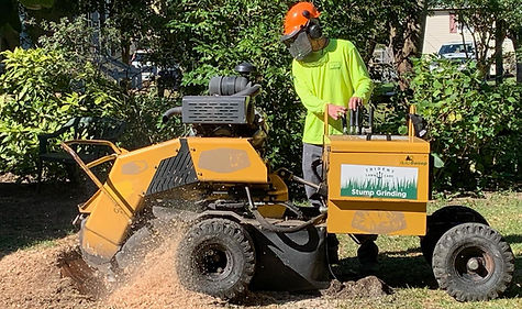 stump grinding norfolk