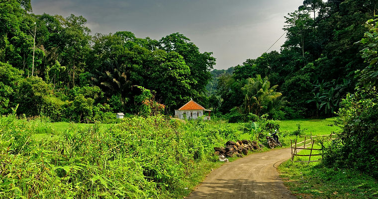 Manuel Antonio ATV Tour Road