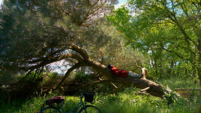 Film Colored.00_00_08_15.Still003.jpg