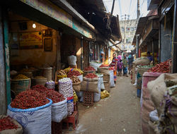 2018_Dec_23_Bangladesh_3568