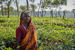 2018_Dec_30_Bangladesh_8676