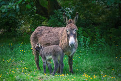 IMG_9193 copie