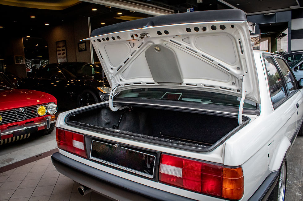 Thumbnail: BMW 316i 1989