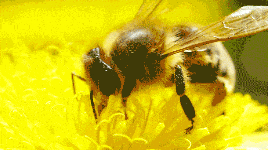 9eb0608e0ebb5ea09645196fbfc471f7.gif