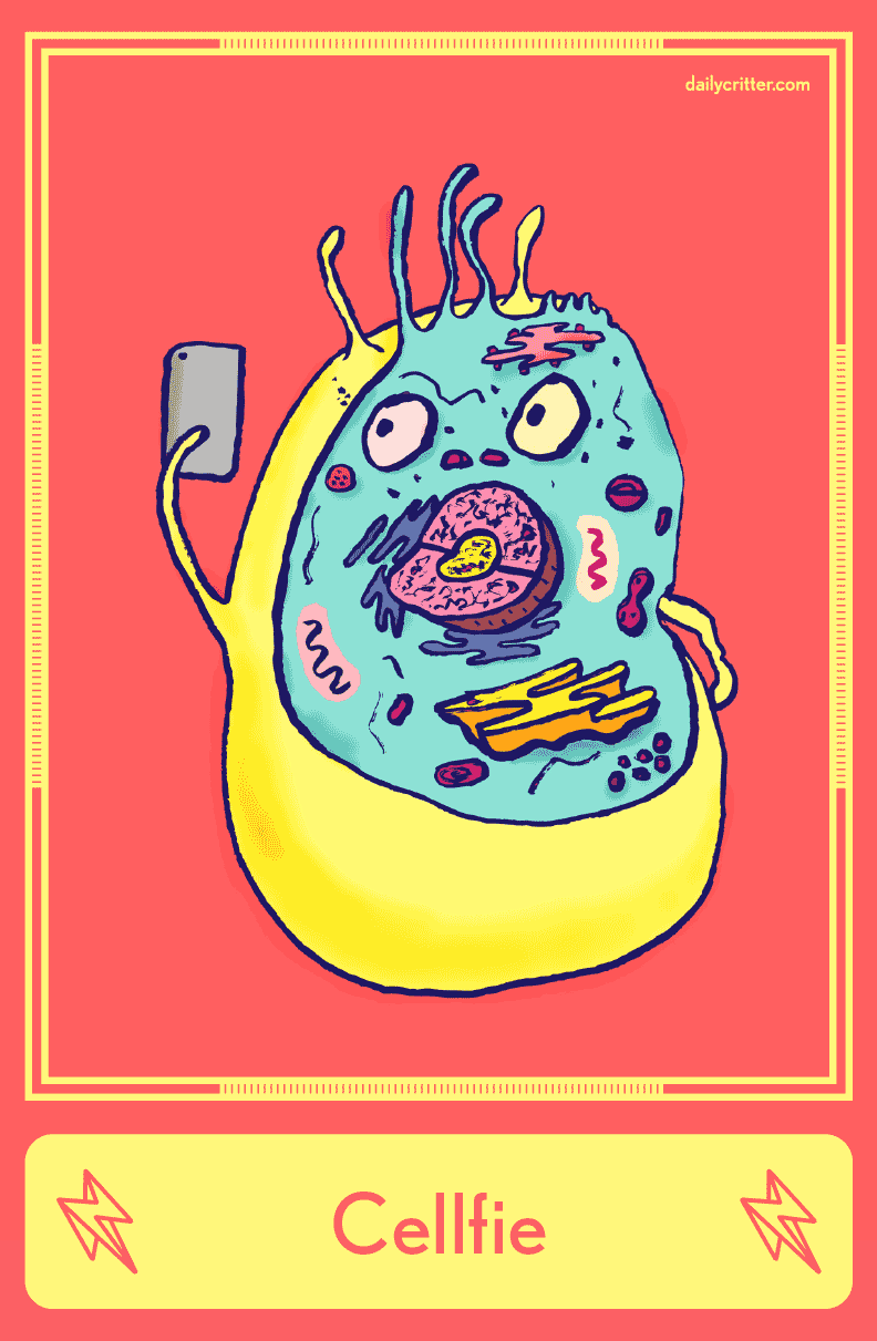 7MEz.gif