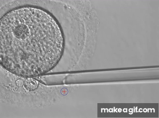 H3UGJJ.gif