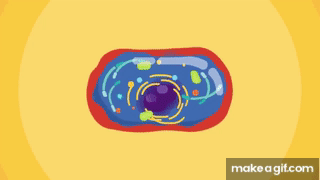 Kakn2W.gif